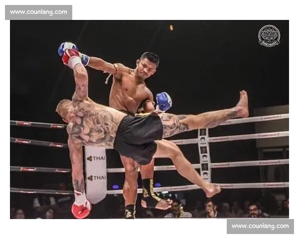 穆斯里穆与播求激战再起 泰拳与综合格斗的巅峰对决