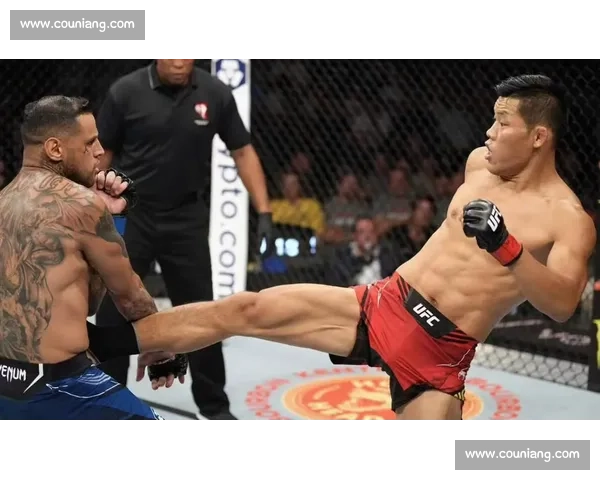 李景亮挑战方便，巅峰对决引爆UFC赛场，谁将主宰拳击世界争锋